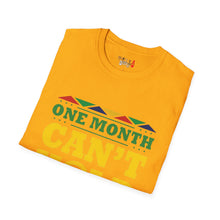 Load image into Gallery viewer, One Month Can't Hold Our History Unisex Softstyle T-Shirt