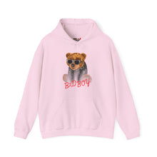 Load image into Gallery viewer, Bad Boy Teddy Bear Hoodie