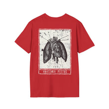 Load image into Gallery viewer, Anatomia Pectus Rear Printed Tee