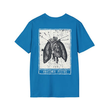 Load image into Gallery viewer, Anatomia Pectus Rear Printed Tee