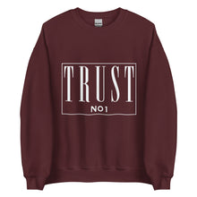Load image into Gallery viewer, Trust No 1 Unisex Sweatshirt