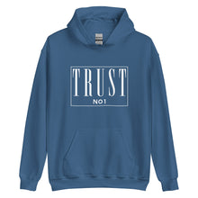 Load image into Gallery viewer, Trust No 1 Unisex Hoodie