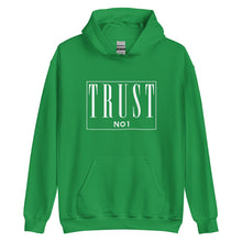 Load image into Gallery viewer, Trust No 1 Unisex Hoodie