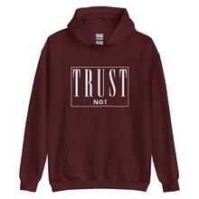 Load image into Gallery viewer, Trust No 1 Unisex Hoodie