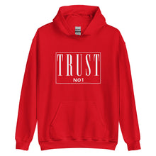 Load image into Gallery viewer, Trust No 1 Unisex Hoodie