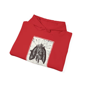 Anatomia Pectus Hoodie