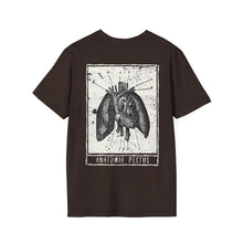 Load image into Gallery viewer, Anatomia Pectus Rear Printed Tee
