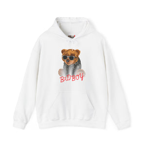 Bad Boy Teddy Bear Hoodie