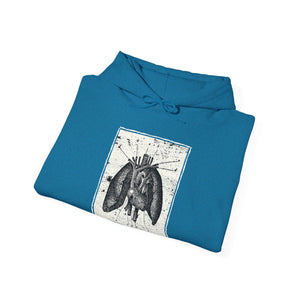 Anatomia Pectus Hoodie