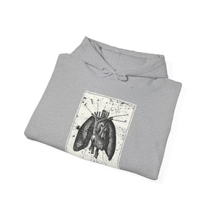 Anatomia Pectus Hoodie