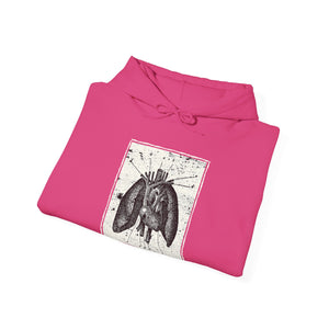 Anatomia Pectus Hoodie