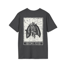 Load image into Gallery viewer, Anatomia Pectus Rear Printed Tee
